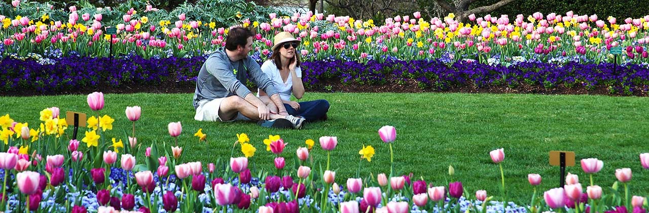 A couple sit surrounded by blooming tulips at the Dallas Arboretum