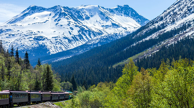 A train passes through a mountain gorge with pine trees and snow-capped mountains.