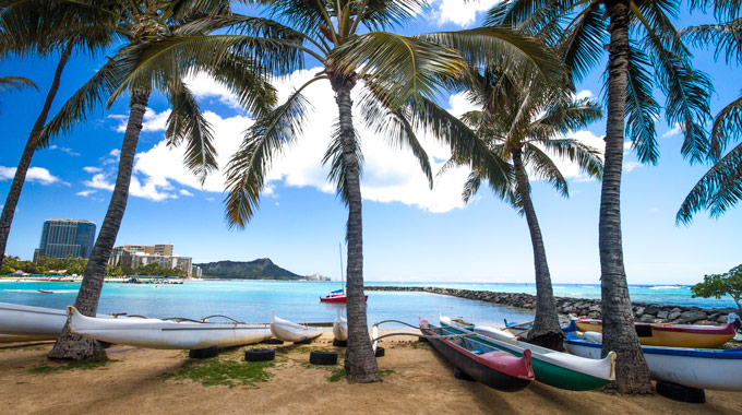 Kayaks resting on the shore in Honolulu