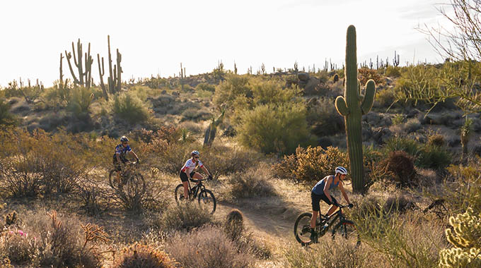 REI Co-Op Adventures offers bike rentals, as well as hiking and biking tours in the McDowell Sonoran Preserve and other area parks. | Courtesy REI Co-Op Adventure Centers